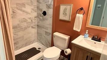 Baño con ducha, inodoro, lavabo y armario.