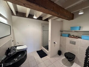 تجهيزات دش، مجففات شعر، مناشف، صابون