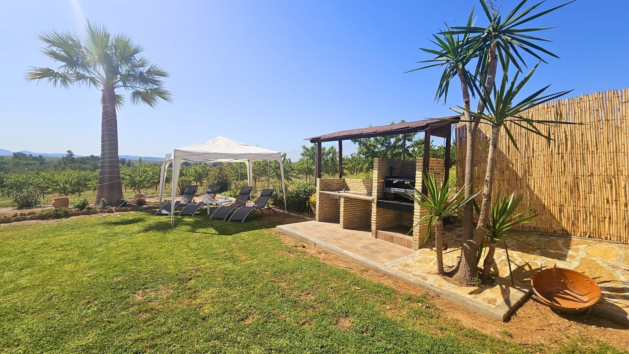 テラス / パティオ