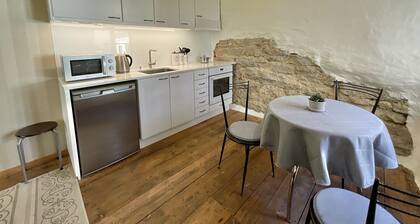 1-bedroom Old Town apartment