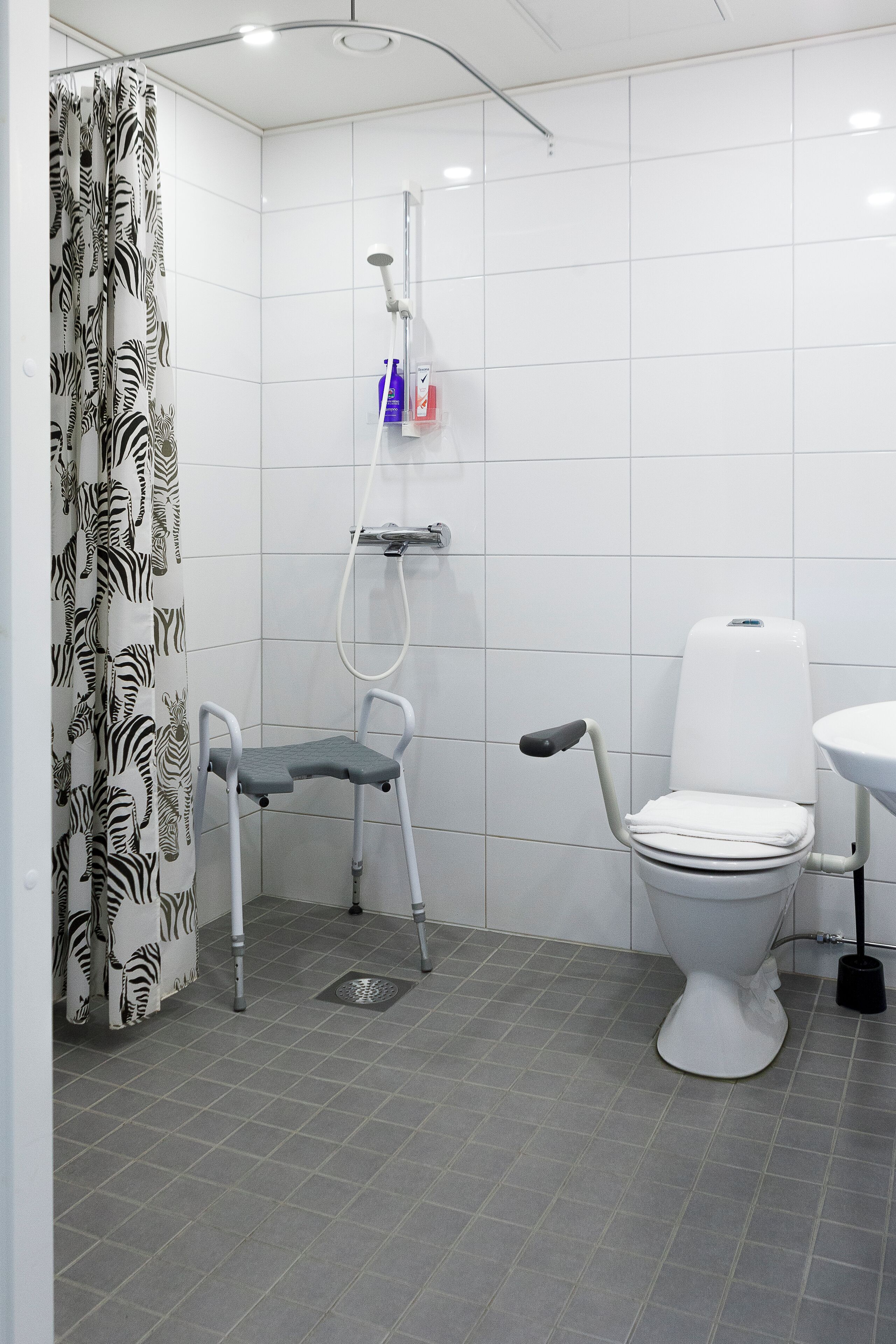 A modern bathroom with a zebra-patterned shower curtain, a white toilet, and a small step stool.