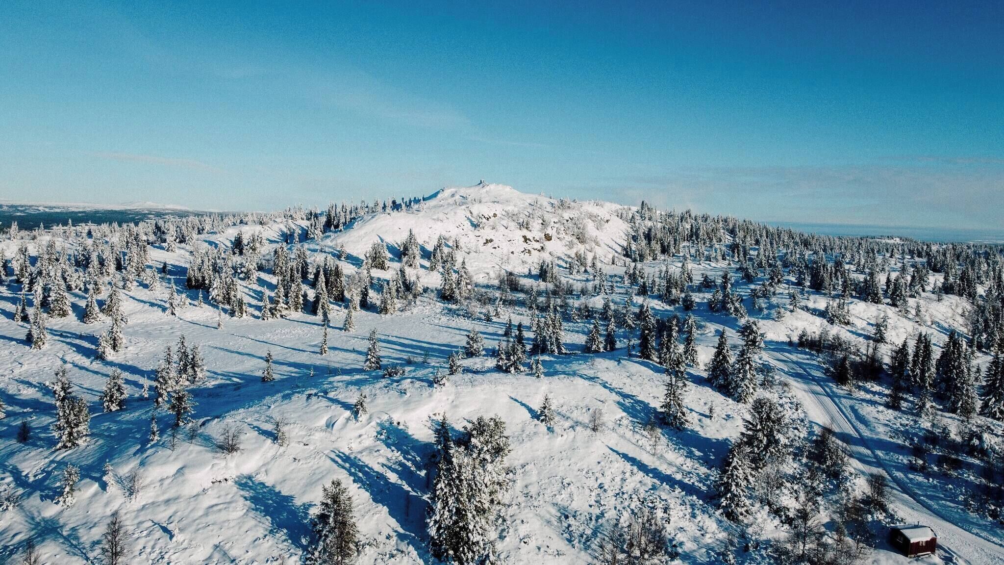 Schneebedeckte Landschaft mit einem markanten Hügel und dichtem Wald.