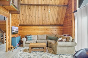 Smart TV, fireplace, books