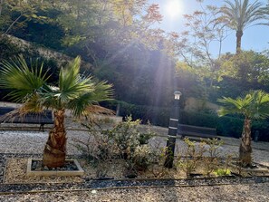 Un giardino con palme, una panchina e un lampione.