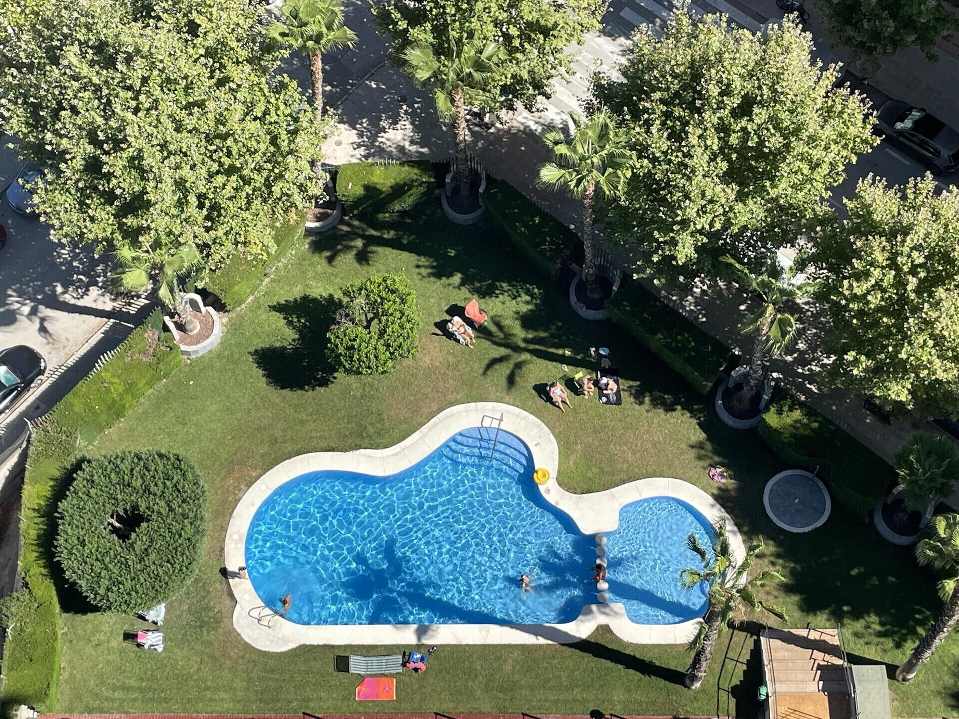 An aerial view of a swimming pool surrounded by trees and grass.