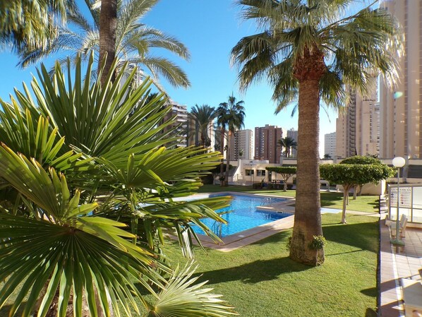 Pool - Two-bedroom apartment with swimming pool (Benidorm)