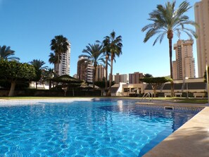 A swimming pool with clear blue water, surrounded by palm trees and tall buildings in the background.