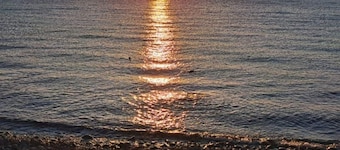 Coastal Haven Awaits Discover Conception Bay South