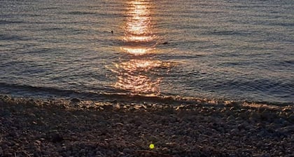 Coastal Haven Awaits Discover Conception Bay South