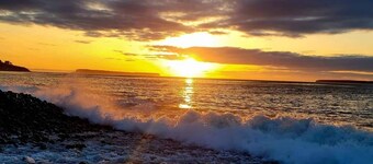 Coastal Haven Awaits Discover Conception Bay South