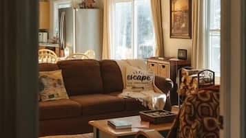 TV connectée, cheminée, lecteur de DVD, livres
