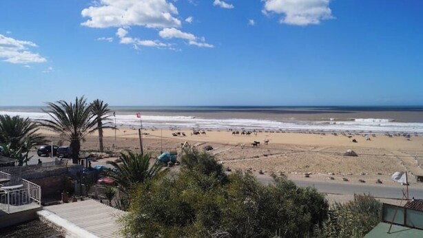 A beach with palm trees, a sandy shore, and a clear sky. - Sidi Kaouki Full Apartment Seafront  (Sidi Kaouki)
