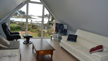 TV connectée, cheminée, livres