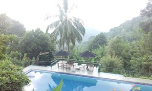 Outdoor pool, pool umbrellas, pool loungers - Brookside Nature Resort (Wattegama)