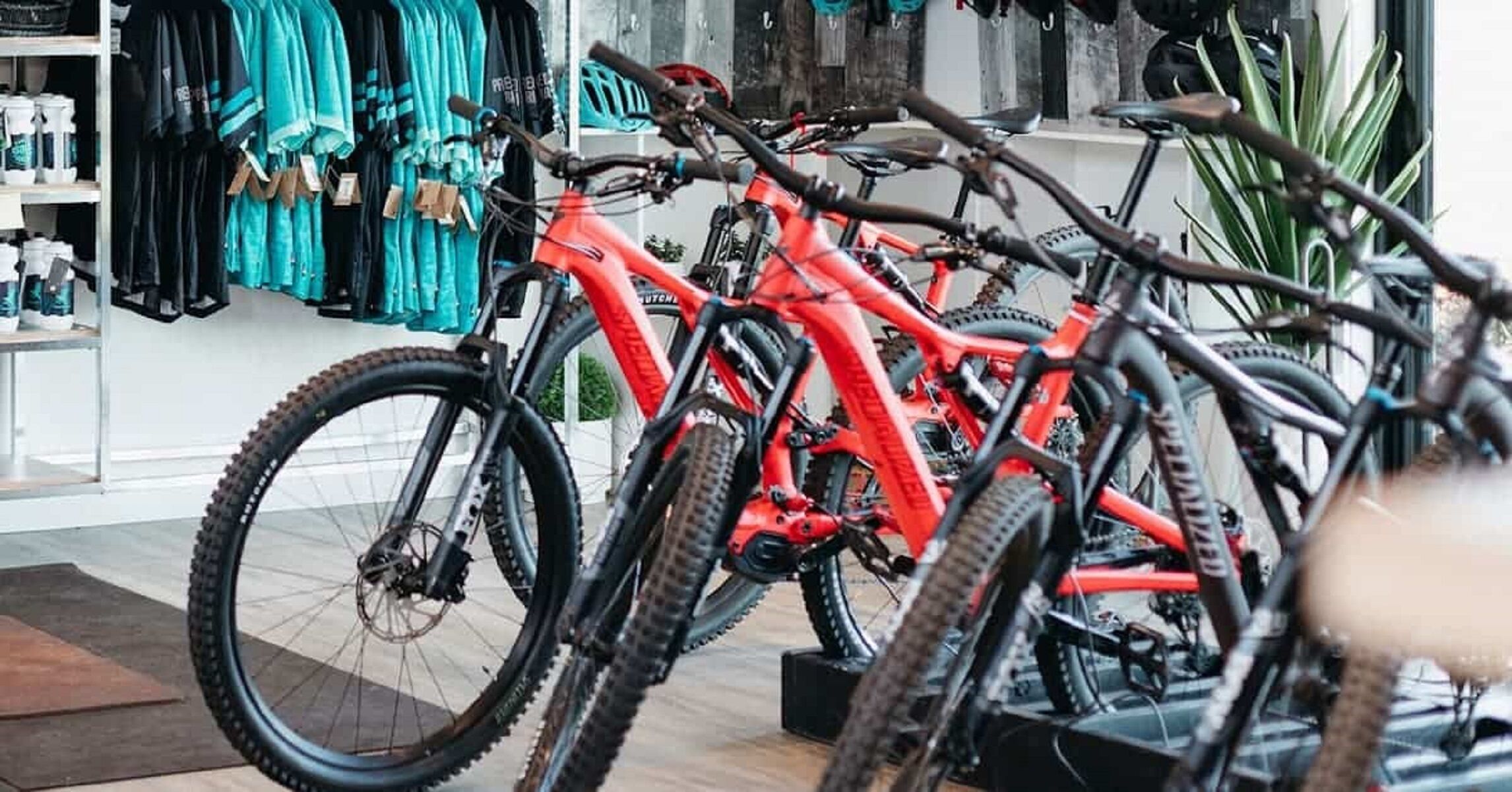 Un magasin de vélos où de nombreux modèles sont exposés.
