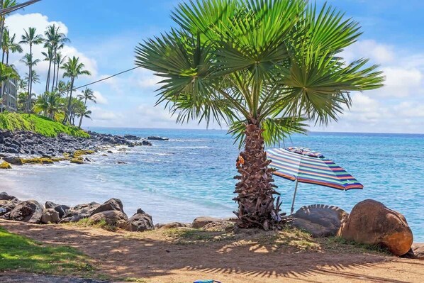 A beach with a palm tree, a striped umbrella, and a rocky shoreline. - Partial Oceanview 2 bedroom condo, across st from ocean, walk to shops & dining (Napili-Honokowai)