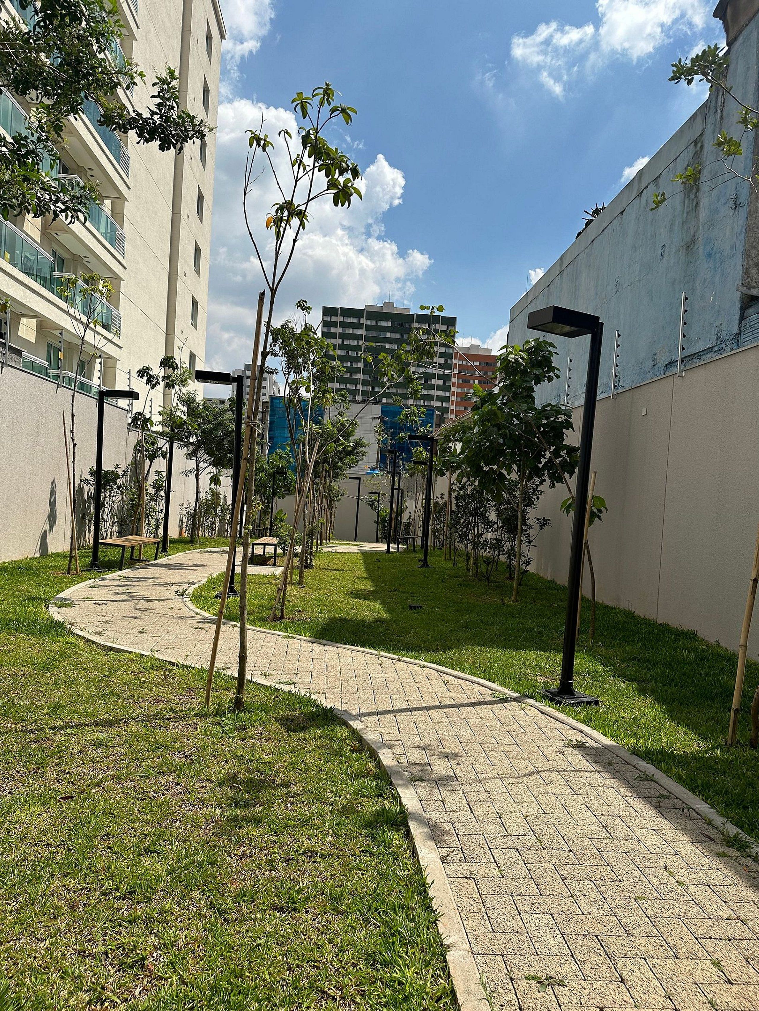 Un sendero pavimentado, árboles jóvenes y un edificio de varios pisos.