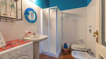 Shower, hair dryer, bidet, towels