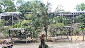 A circular water feature with a statue, surrounded by potted plants and a bench. - Long Vân Hotel (Phu Quoc)