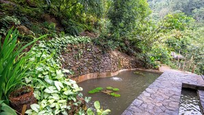 A stone-lined pond with water lilies, surrounded by lush greenery and a stone wall. - Nuga Retreat (Illagolla)