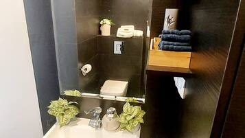 Regadera, secadora de cabello, toallas, papel de baño