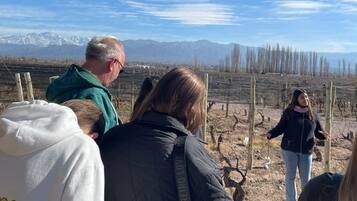 Un grupo de personas al aire libre observando un paisaje montañoso con cielo despejado.