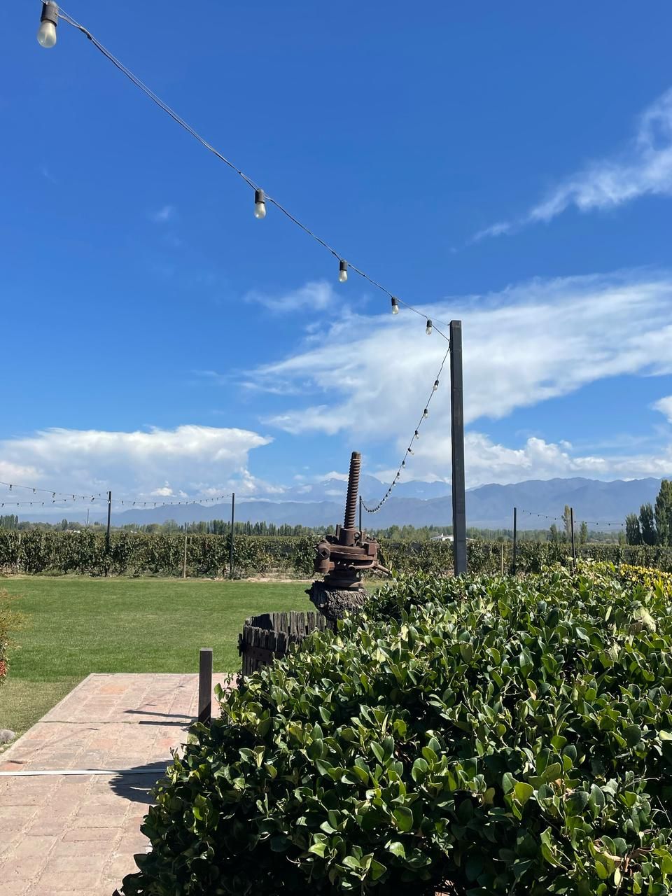 Un jardín con una escultura de piedra, un sendero y luces colgantes bajo un cielo despejado.