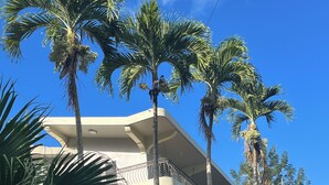 Un edificio moderno con un balcón curvo, rodeado de palmeras.