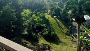A lush green landscape with a road, palm trees, and a distant mountain range. - 3-bedroom house with Solar Energy, Water cistern, AC, and high speed internet. (Canaboncito)