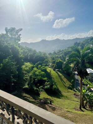Property grounds - 3-bedroom house with Solar Energy, Water cistern, AC, and high speed internet. (Canaboncito)