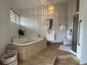Shower, jetted bath, hair dryer, bidet