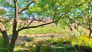 Ein Garten mit bunten Blumen und einem Fluss im Hintergrund.