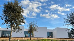 A modern building with large windows and a grassy area in front. - CASA DO REGADIO - HOUSE 2, A country and sea retreat on the Alentejo coast,  (Zambujeira do Mar)