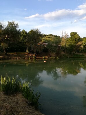 Terrein van de accommodatie