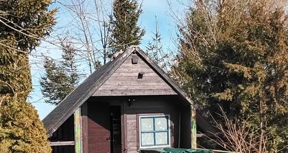 Gemütliches Ferienhaus in der Eifel