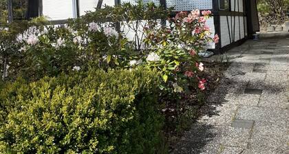 Gemütliches Ferienhaus in der Eifel