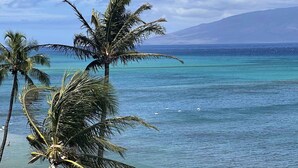 Ein Strand mit Palmen und einem Berg im Hintergrund.