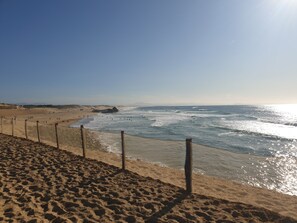 Beach - T2 54 m2 oceanfront plus bicycles  (Seignosse)