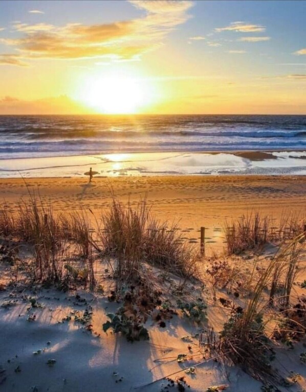 Experience a serene beach escape with tall grasses and a natural shoreline.