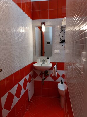 Ducha, secador de pelo, bidé y toallas