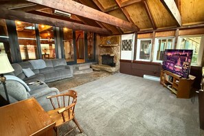 TV, fireplace, books