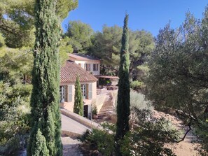 A Mediterranean-style villa with a stone staircase leading to a wooden deck, surrounded by cypress trees and olive groves. - Luxury villa - air-conditioned - pool - sleeps 14, 7 bedrooms and 7 bathrooms, 11 beds (Sanary-sur-Mer)