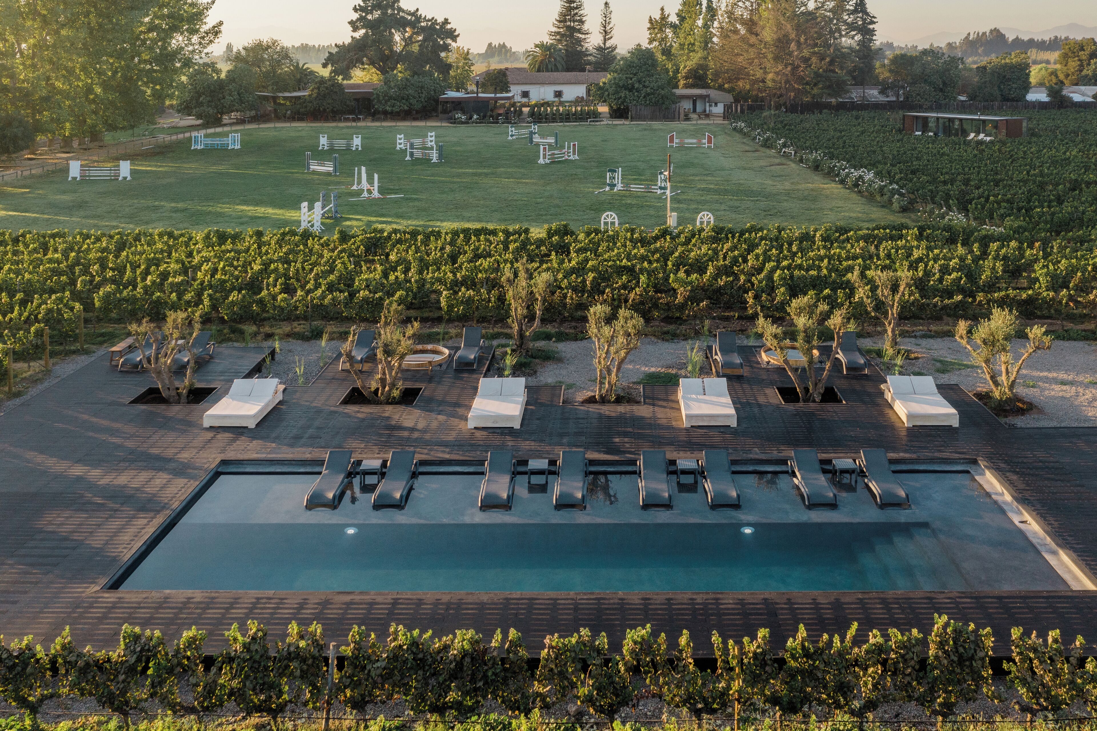 Un espace piscine avec des chaises longues et, en arrière-plan, un vignoble.