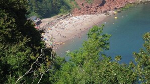 A beach with a rocky shoreline, surrounded by lush greenery and a forested area.