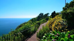 A coastal garden with a pathway, lush greenery, and a view of the sea.