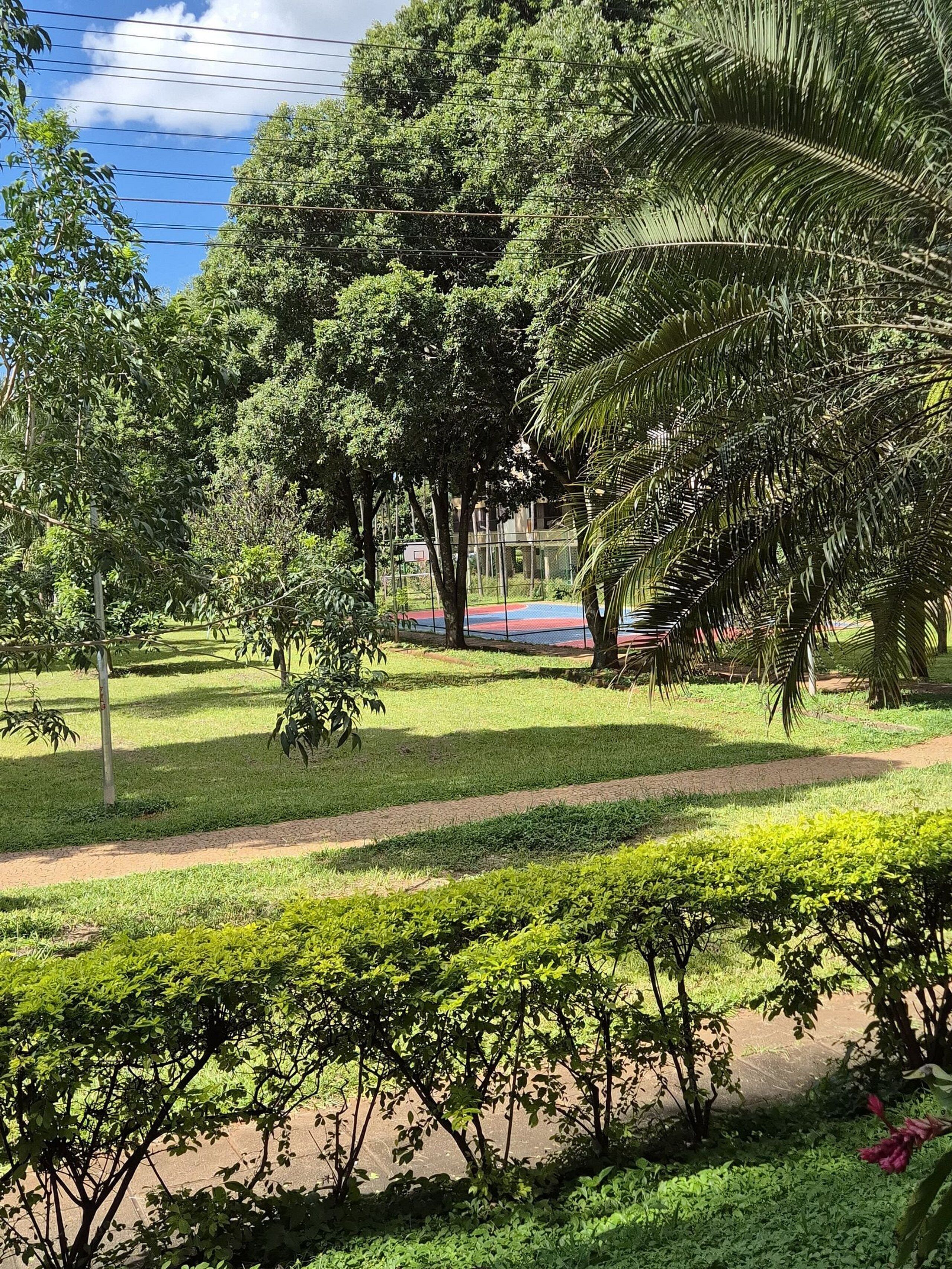 Un parque con cancha de baloncesto, árboles y cielo despejado.