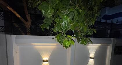 Superb bungalow stay at Prayagraj