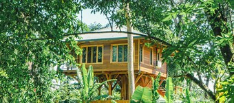 Charming bungalow in tranquil Bocas del Toro. Perfect spot for surf and relax.