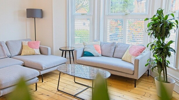 A modern living room with a sectional sofa, a glass coffee table, and a potted plant.