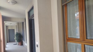 A corridor with a door, a window with wooden frames, and a potted plant.